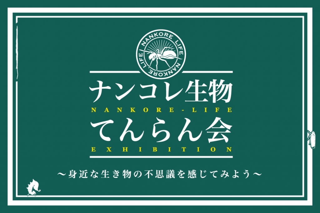 ナンコレ生物てんらん会 身近な生き物の不思議を感じてみよう Canvas 遊びと学びのヒミツ基地